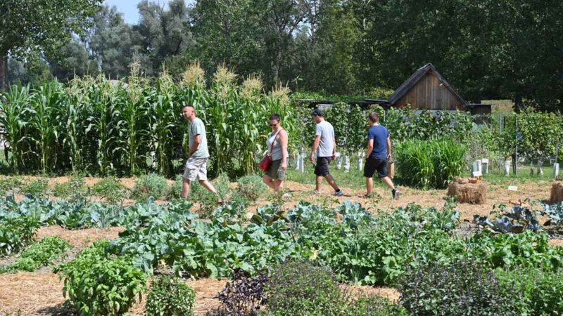 24.8. do 29.8.2024 62. Mednarodni kmetijsko-živilski sejem AGRA
