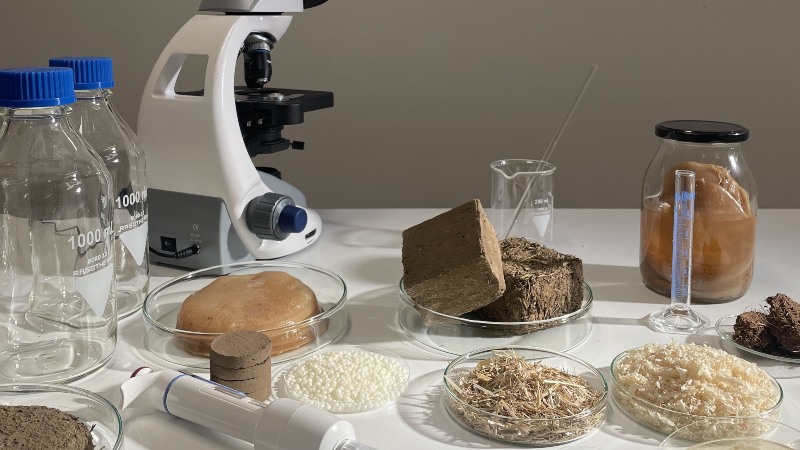 16.10 do 27.11.2024 Zeleni lab – Hišni tečaj izdelave biomaterialov (začetni tečaj)