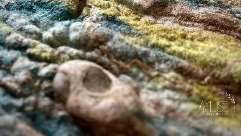 PISANA LOKA | Delavnica: polstena slika – Delavnica in druženje za otroke od 9 let 23. avgust @ 10:00 - 13:00