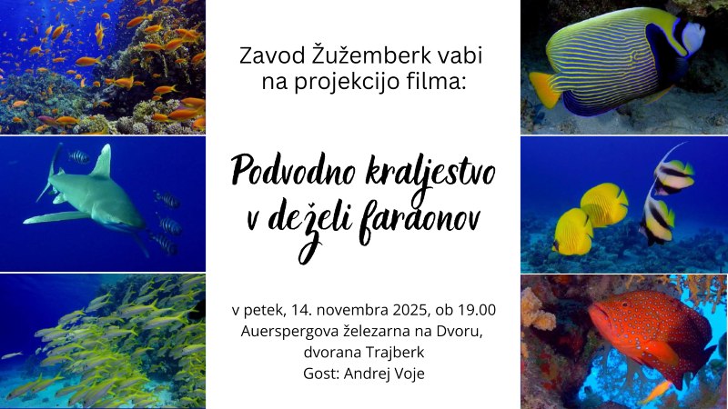 14.11.2025 Podvodno kraljestvo v deželi faraonov-napovednik-dogodki-prireditve