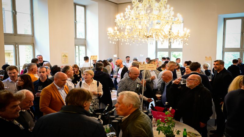 16. Salon VinDel – madnarodni salon vina in delikates – Slovensko narodno gledališče Maribor 22. oktober @ 12:00 - 18:00 50€