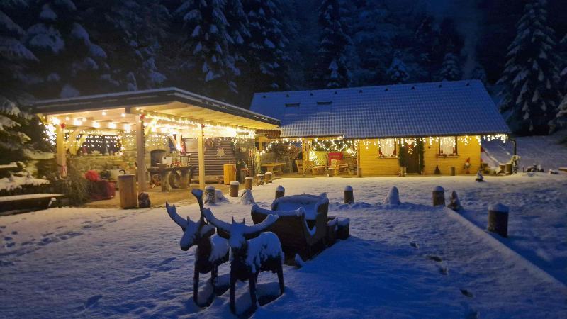 13.12.2025 _ BOŽIČKOVA DEŽELA