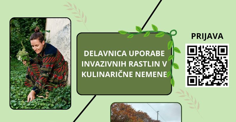 Delavnica UPORABA INVAZIVK V KULINARIČNE NAMENE 15. december @ 17:00 - 18:30