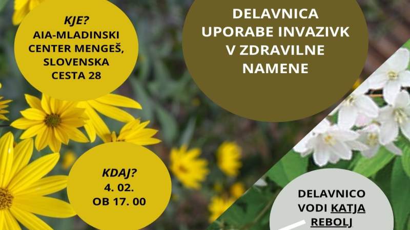 4.2.2026 DELAVNICA UPORABA INVAZIVNIH RASTLIN V ZDRAVILNE NAMENE-napovednik-dogodki
