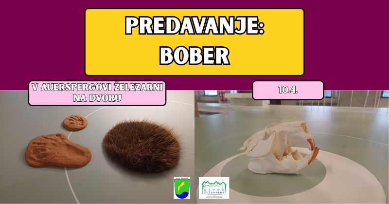 10.4.2026 Predavanje ob dnevu bobra-napovednik-dogodki-prireidtve