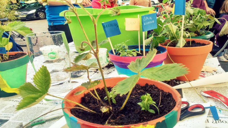 12.5.2026 Ustvarjalnice z Galerijo C.C.U. (za otroke) USTVARJALNA ZASADITEV-napovednik-dogodki